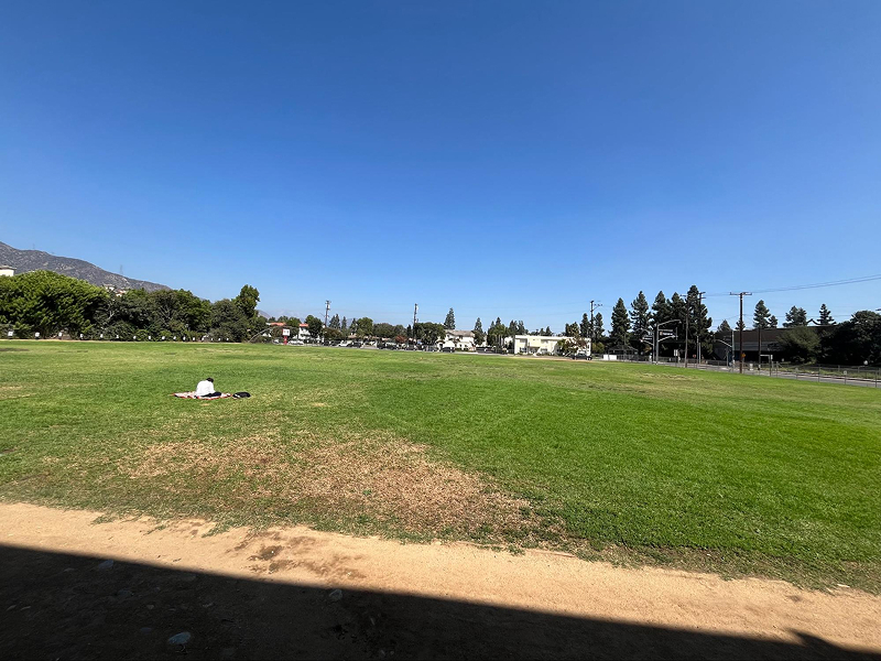 Hidden in Plain View