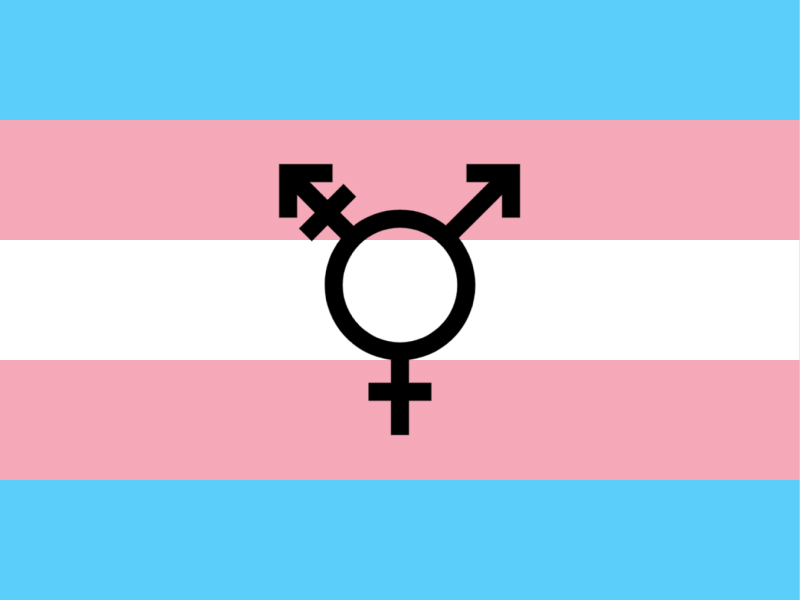 Celebrating Transgender Awareness Week